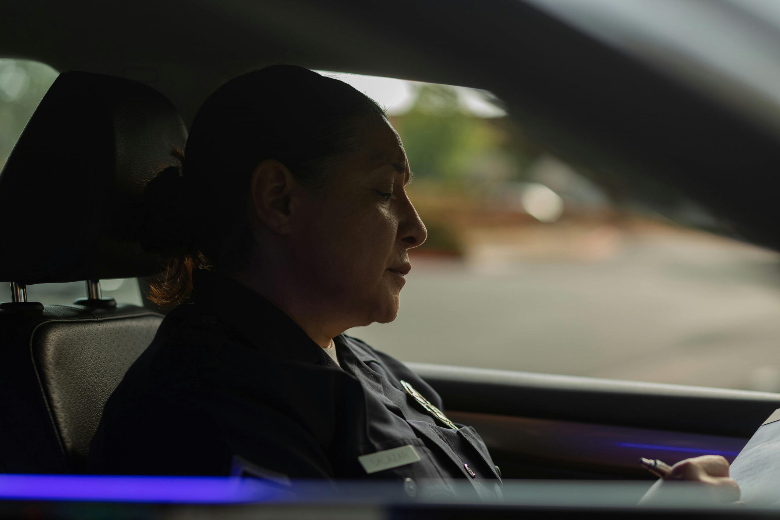 California Penal Code Section 217.1(a) PC - Assault on a Public Official Defense